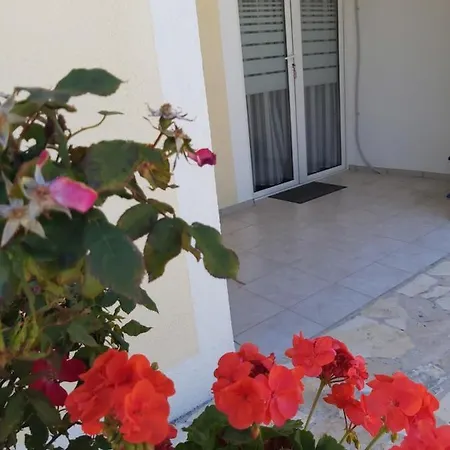 Bugenvila Mali Lošinj